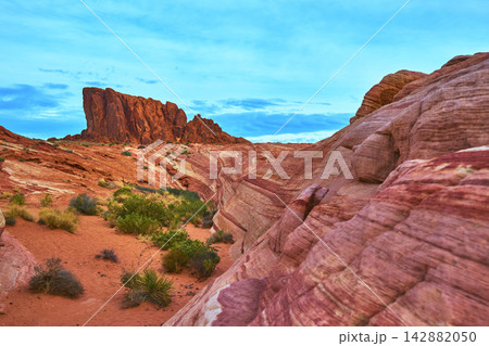 Red Sandstone Formations and Desert Vegetation Under Blue Sky in Valley of Fire Red Sandstone Formations and Desert Vegetation Under Blue Sky in Valley of Fire 142882050