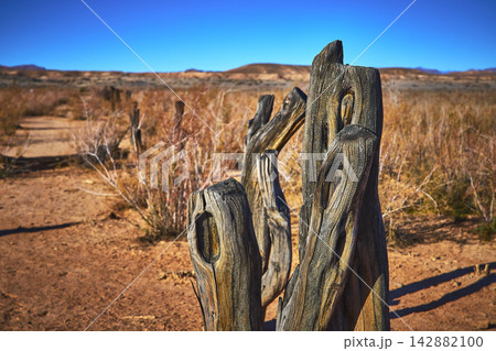 Weathered Wooden Fence Posts and Desert Path in St Thomas Ghost Town Nevada 142882100