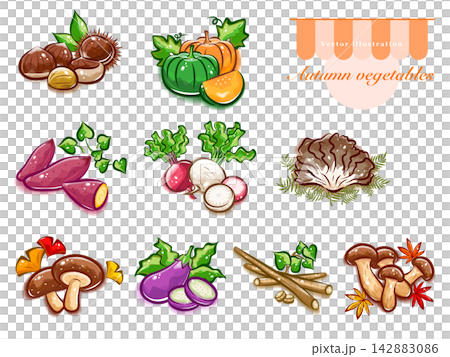 A set of illustrations of various autumn vegetables | Cute pop art vector materials 142883086
