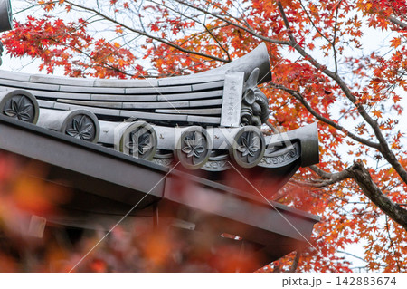 京都の紅葉文様の瓦屋根 142883674