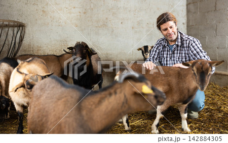 Male worker feeding goats at livestock farm Male worker feeding goats at livestock farm 142884305