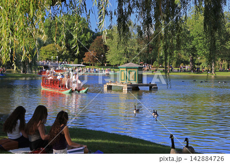 Students enjoying the landscape of the lake and Swan Boats on Boston Garden late afternoon 142884726