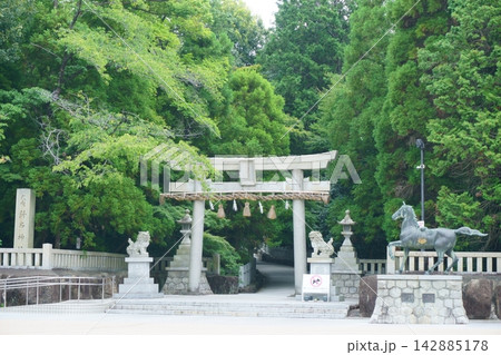 針名神社 西参道口10 神玉巡行 針名神社 西参道口10 神玉巡行 142885178