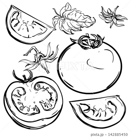 A Vector set of tomatoes. Retro illustration of ripe tomatoes, pieces, halves, slices, leaves, and flowers. Sketch of a flowering cherry pomidoro branch. Hand drawn doodle style. A Vector set of tomatoes. Retro illustration of ripe tomatoes, pieces, halves, slices, leaves, and flowers. Sketch of a flowering cherry pomidoro branch. Hand drawn doodle style. 142885450