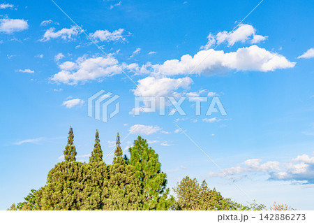 緑の木々の上に広がる青空と白い雲 緑の木々の上に広がる青空と白い雲 142886273