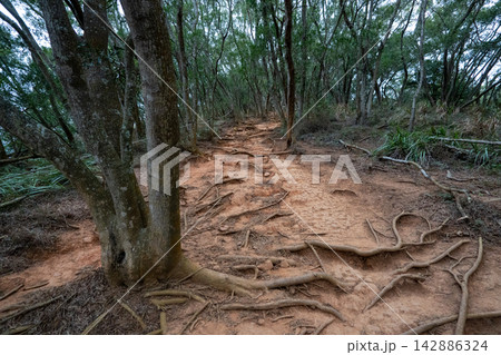 台湾小百岳No.35 火炎山登山ルートの風景 台湾小百岳No.35 火炎山登山ルートの風景 142886324