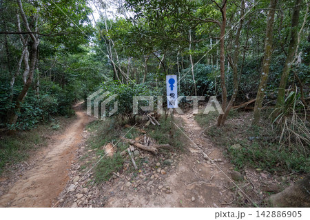 台湾小百岳No.35 火炎山登山ルートの風景 142886905