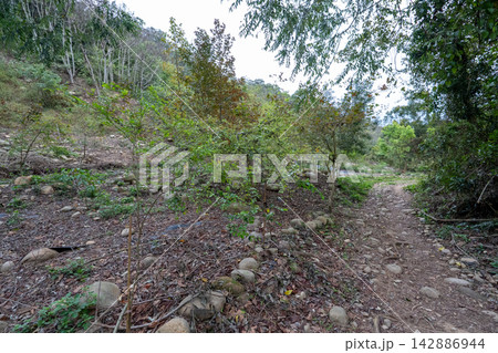 台湾小百岳No.35 火炎山登山ルートの風景 台湾小百岳No.35 火炎山登山ルートの風景 142886944