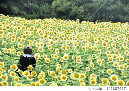 大阪市立長居植物園 大阪市立長居植物園 142887437