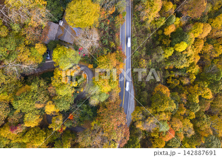 Rural mountain homes near Asheville, North Carolina surrounded by vibrant fall forest. Scenic hillside neighborhood blends with colorful autumn woodland. Rural mountain homes near Asheville, North Carolina surrounded by vibrant fall forest. Scenic hillside neighborhood blends with colorful autumn woodland. 142887691