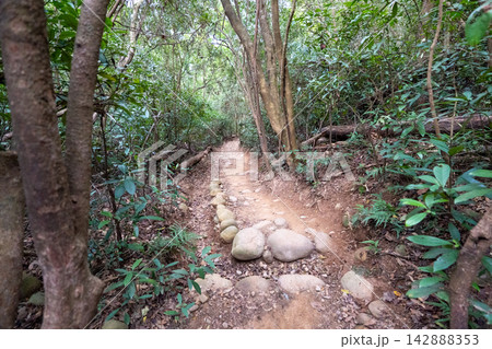 台湾小百岳No.35 火炎山登山ルートの風景 台湾小百岳No.35 火炎山登山ルートの風景 142888353