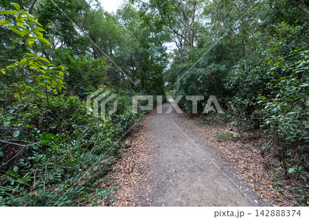 台湾小百岳No.35 火炎山登山ルートの風景 142888374