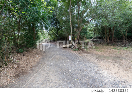 台湾小百岳No.35 火炎山登山ルートの風景 142888385