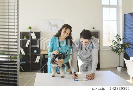 Vet team with schnauzer during checkup as doctor writes notes at modern clinic 142889593
