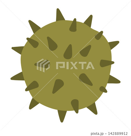 Vector illustration of a fully closed green spiky horse chestnut burr. Great for fall seasonal themes, forest botany concepts, and autumn nature designs Vector illustration of a fully closed green spiky horse chestnut burr. Great for fall seasonal themes, forest botany concepts, and autumn nature designs 142889912