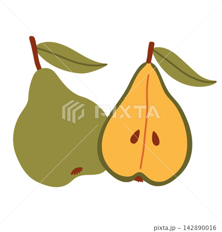 Whole green pear and sliced half pear vector isolated on white. Ideal for autumn fruit harvest graphics, healthy food recipes, organic farm market logos, and seasonal autumn food designs 142890016
