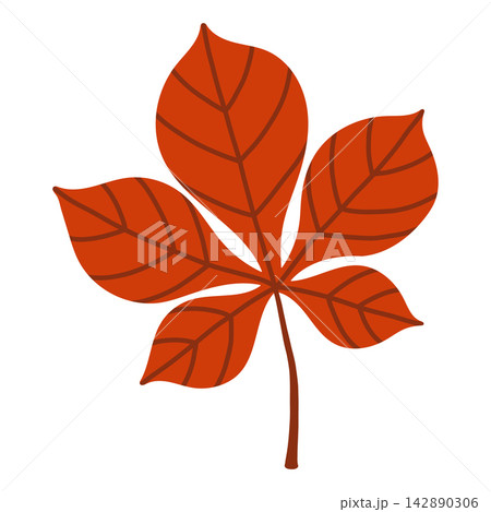 Vibrant red chestnut leaf vector isolated on white. Perfect for autumn sale banners, Thanksgiving designs, fall foliage graphics, and nature backgrounds 142890306