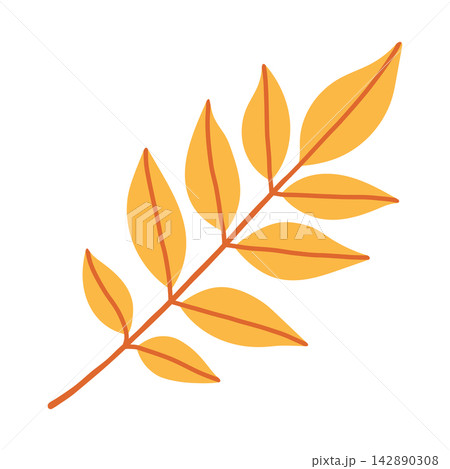 Bright yellow ash leaf branch vector illustration isolated on white. Ideal for autumn foliage patterns, Thanksgiving cards, fall seasonal banners, and nature designs 142890308
