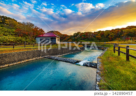 青森県　恐山の秋景色　 142890457