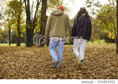 Rear view of couple walking through autumn leaves in a peaceful city park Rear view of couple walking through autumn leaves in a peaceful city park 142891052