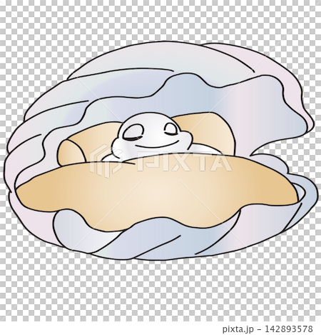 手書き動物イラスト☆真珠貝 手書き動物イラスト☆真珠貝 142893578