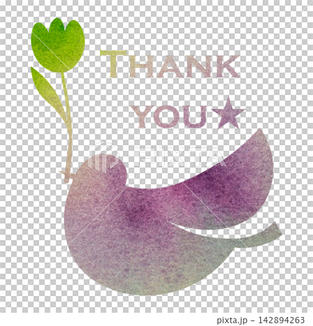 綺麗な水彩模様のThank youのアイコンのイメージのイラスト 綺麗な水彩模様のThank youのアイコンのイメージのイラスト 142894263