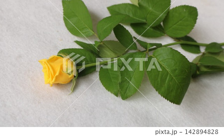 黄色のバラの花束 黄色のバラの花束 142894828