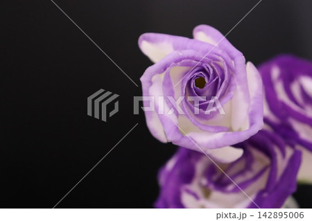 お花 お花 142895006