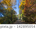 高尾山ケーブルカーと紅葉 高尾山ケーブルカーと紅葉 142895054