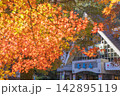高尾山ケーブルカーの清滝駅と紅葉 高尾山ケーブルカーの清滝駅と紅葉 142895119