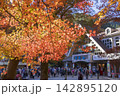 高尾山ケーブルカーの清滝駅と紅葉 高尾山ケーブルカーの清滝駅と紅葉 142895120