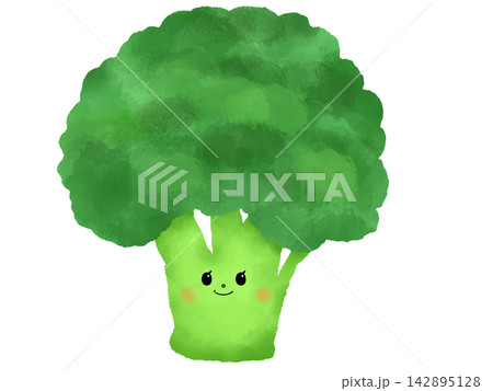 水彩画風　かわいいブロッコリーのイラスト 142895128