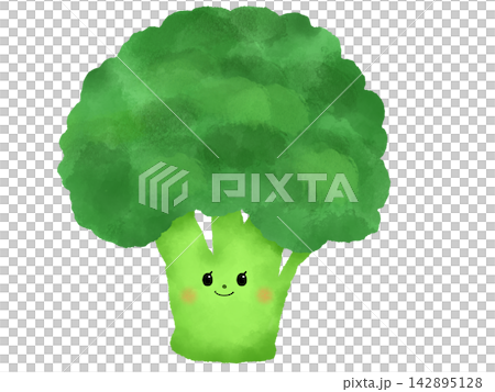 水彩画風　かわいいブロッコリーのイラスト 142895128