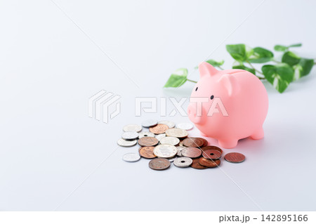 小銭と豚の貯金箱 小銭と豚の貯金箱 142895166
