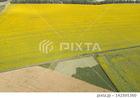 agricultural field, view from above agricultural field, view from above 142895360