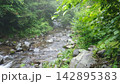 新緑に映える苔むす沢 142895383