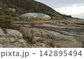 海岸　古い建物 142895494