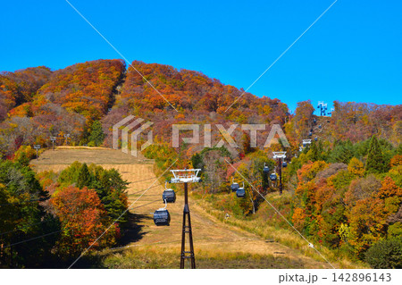 秋 白馬岩岳ゴンドラリフト 秋 白馬岩岳ゴンドラリフト 142896143