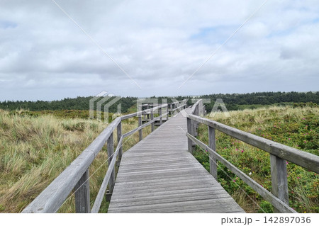 Scenic Coastal Boardwalk Leading through Dunes under Cloudy Sky for Tranquil Nature Retreats Scenic Coastal Boardwalk Leading through Dunes under Cloudy Sky for Tranquil Nature Retreats 142897036