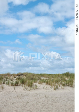 Tranquil Coastal Landscape with Blue Sky and Sandy Dunes for Relaxation and Inspiration Tranquil Coastal Landscape with Blue Sky and Sandy Dunes for Relaxation and Inspiration 142897038