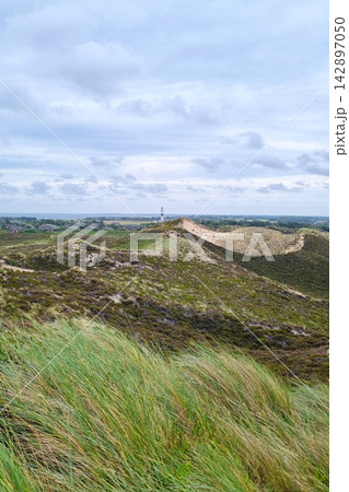Scenic Coastal Dunes and Lighthouse Under Cloudy Sky for Landscape Design 142897050