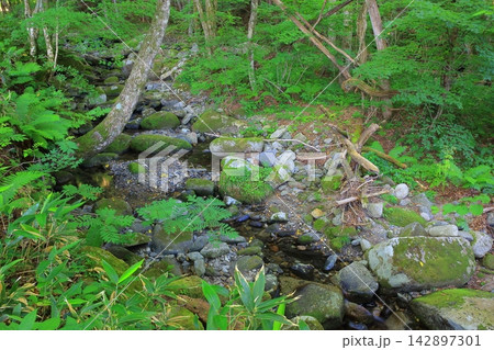世界遺産 石のある風景 世界遺産 石のある風景 142897301