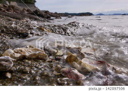 【竹島】貝殻海岸に打ち寄せる波 142897506