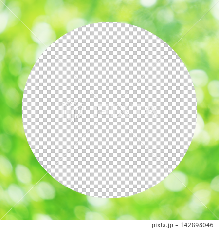 Sunlight filtering through the fresh green leaves, circular frame Sunlight filtering through the fresh green leaves, circular frame 142898046
