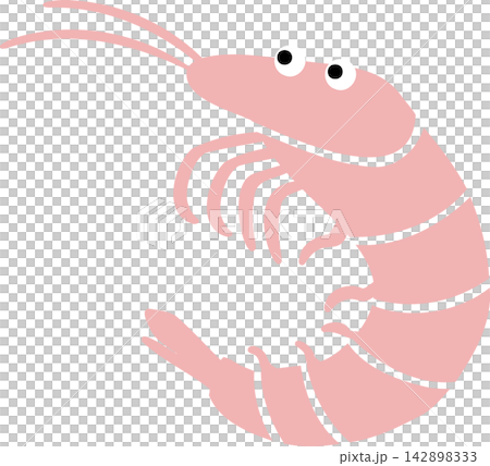 Vector illustration of Antarctic krill Vector illustration of Antarctic krill 142898333