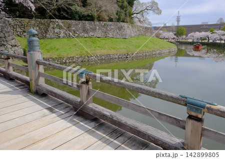 桜の花咲く彦根城の表門橋 桜の花咲く彦根城の表門橋 142899805