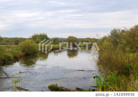 Autumn landscape with the river and trees on a cloudy day. 142899936
