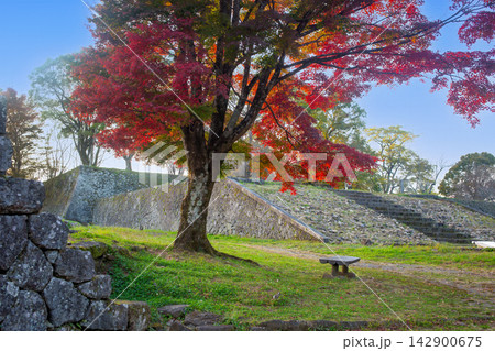 岡城跡の石垣と紅葉 岡城跡の石垣と紅葉 142900675