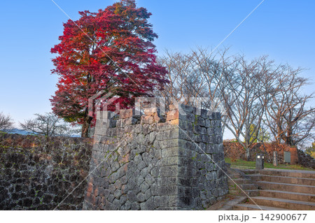 岡城跡の石垣と紅葉 142900677