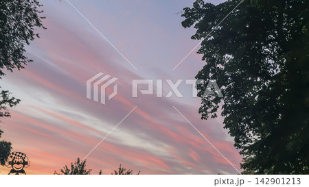 City sky with light cirrus clouds and sunlight. Natural background and texture. 142901213